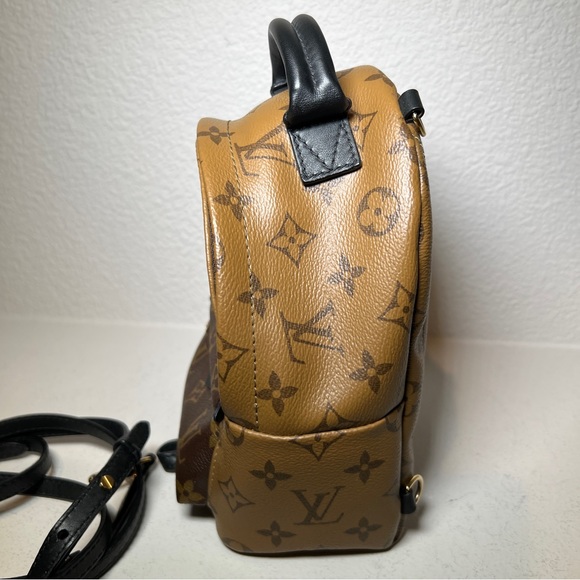 Louis Vuitton Palm Springs Mini - Picture 5 of 9